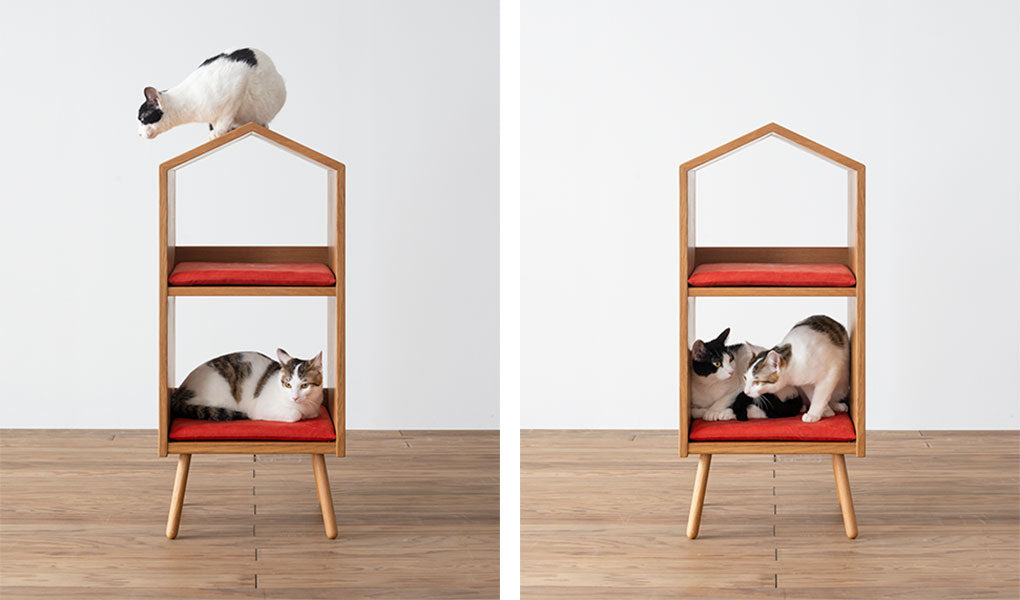 Cat House | HIDA