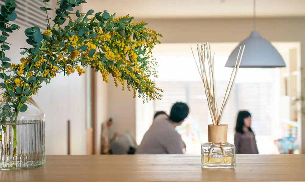Aceite de Fragancia Sala HIDA - Hinoki, Sugi, others - Wellness
