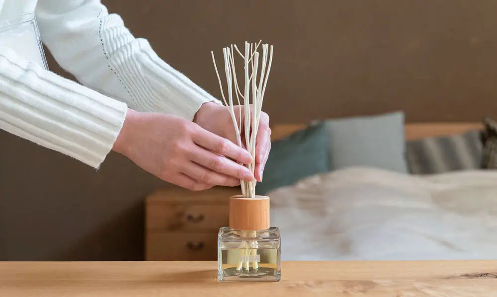 Aceite de Fragancia Sala HIDA - Hinoki, Sugi, others - Wellness