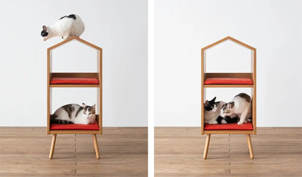 Cat House | HIDA
